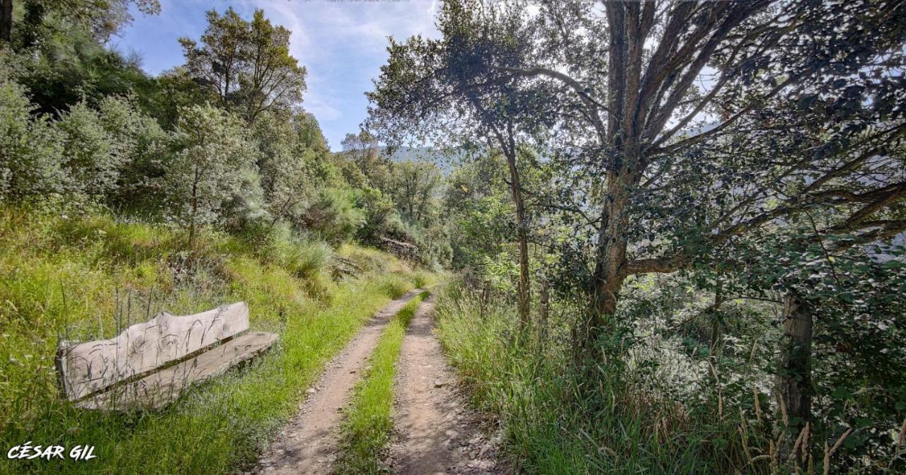 Casa Rural Chao De Castro Riodeporcos Екстериор снимка