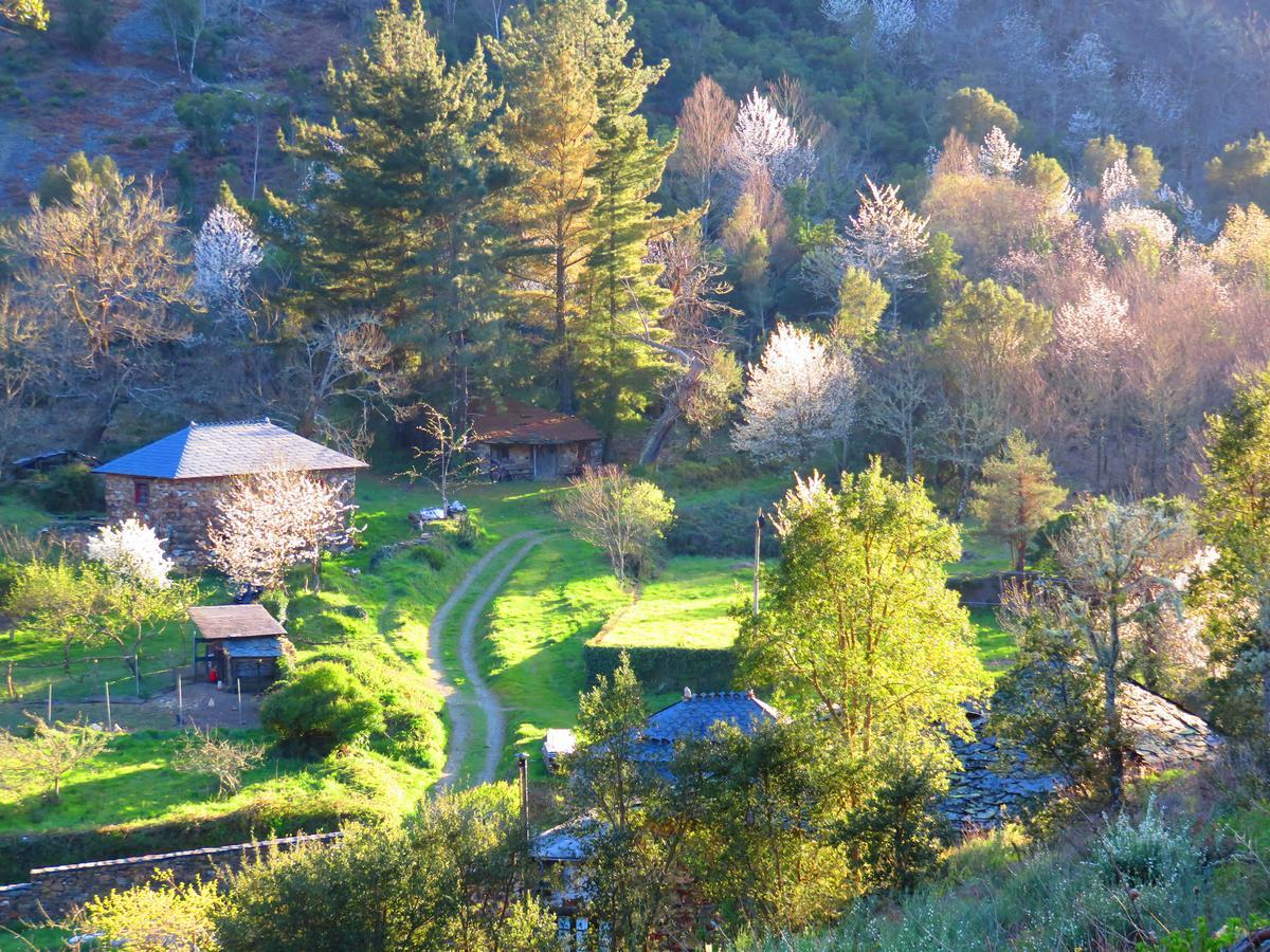 Casa Rural Chao De Castro Riodeporcos Екстериор снимка